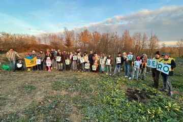 Festa dell’Albero 2025